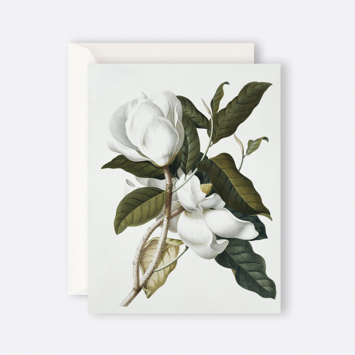 Gardenia Card greeting card by Father Rabbit at Roam Studio Florist