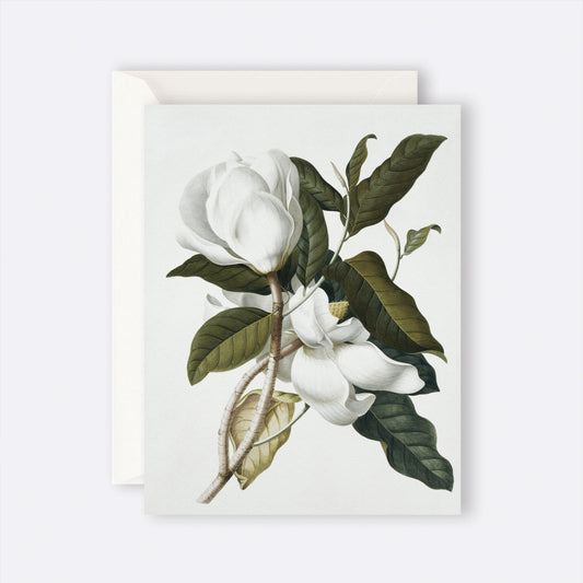 Gardenia Card greeting card by Father Rabbit at Roam Studio Florist