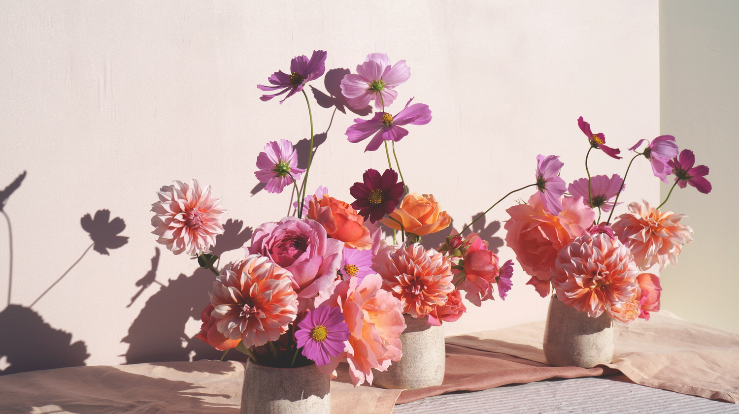 Flowers in the sun by Roam Studio Tauranga